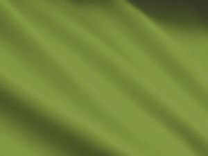 Farbfeld_Olive_CYMK_Hybrid-300x225.jpg